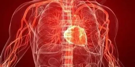 1763016415235517.jpg 640.jpg